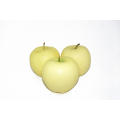 China golden delicious apple supplier